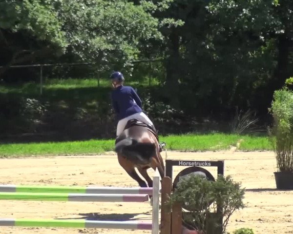 Reitturnier Viersen-Dülken 2016