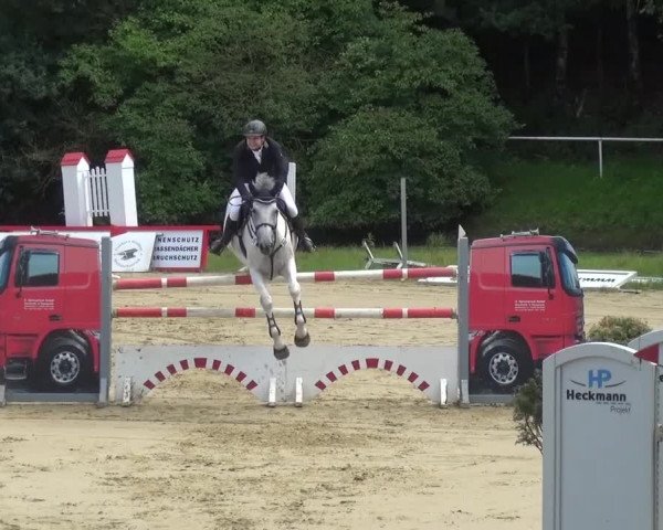 Reitturnier Viersen-Dülken 2016