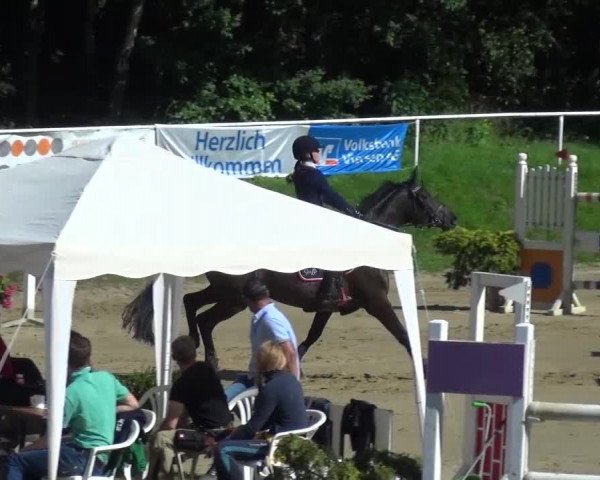 Reitturnier Viersen-Dülken 2016