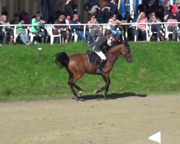 Reitturnier Viersen-Dülken 2016