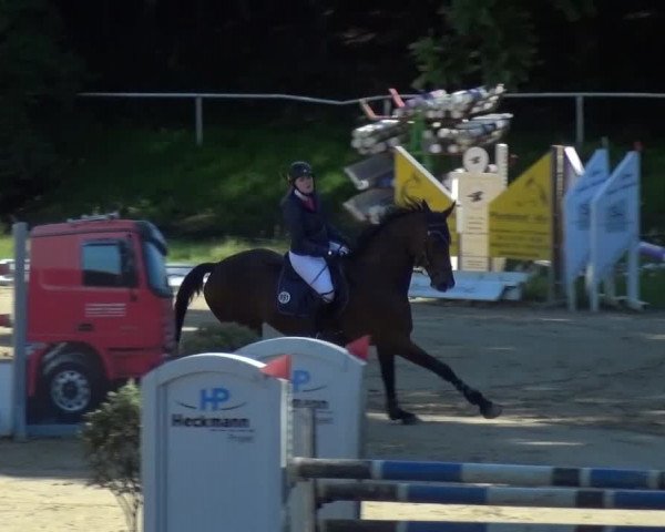 Reitturnier Viersen-Dülken 2016