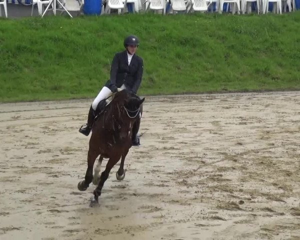 Reitturnier Viersen-Dülken 2016