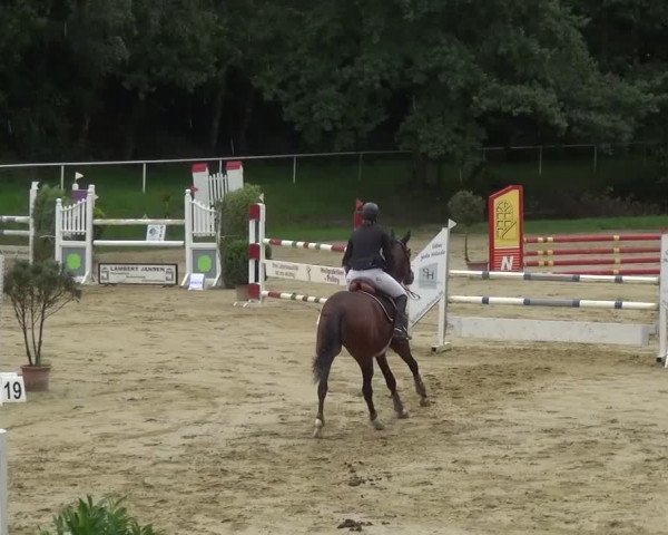 Reitturnier Viersen-Dülken 2016