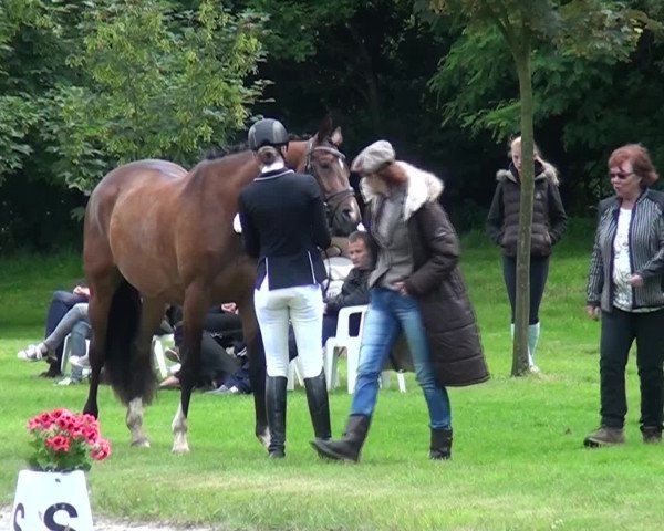 Reitturnier Viersen-Dülken 2016