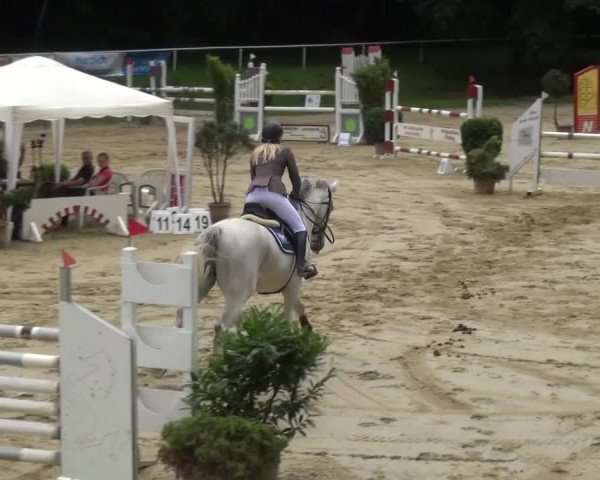 Reitturnier Viersen-Dülken 2016