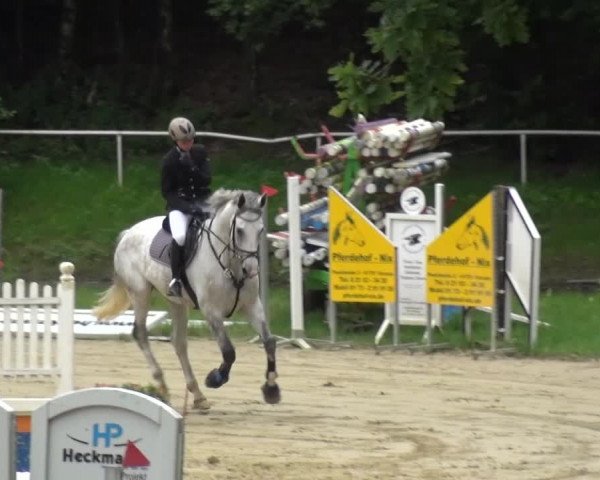 Reitturnier Viersen-Dülken 2016