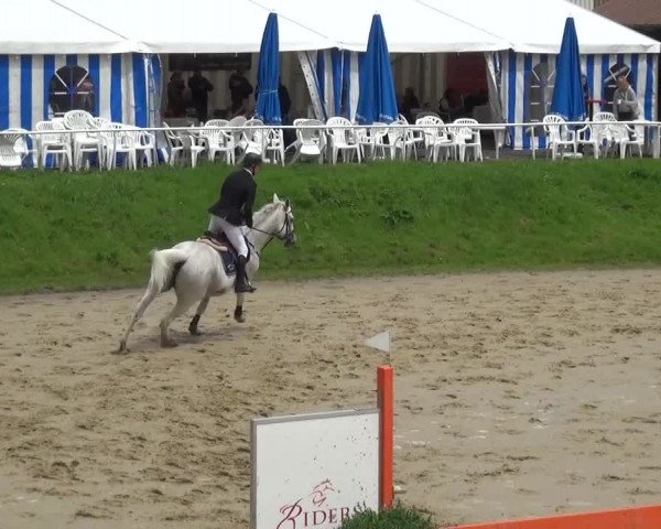 Reitturnier Viersen-Dülken 2016