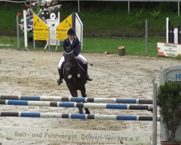 Reitturnier Viersen-Dülken 2016