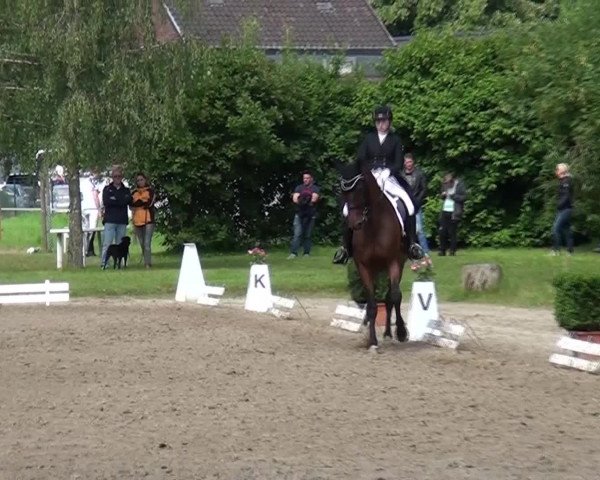 Reitturnier Viersen-Dülken 2016