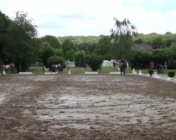 Reitturnier Viersen-Dülken 2016
