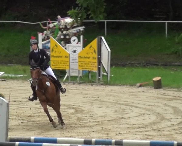 Reitturnier Viersen-Dülken 2016