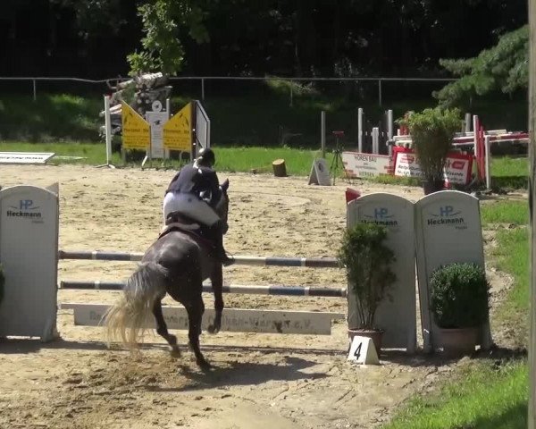 Reitturnier Viersen-Dülken 2016