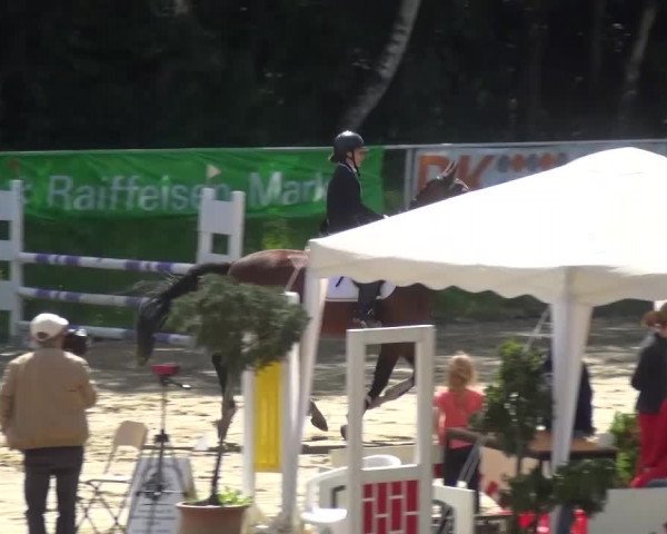 Reitturnier Viersen-Dülken 2016