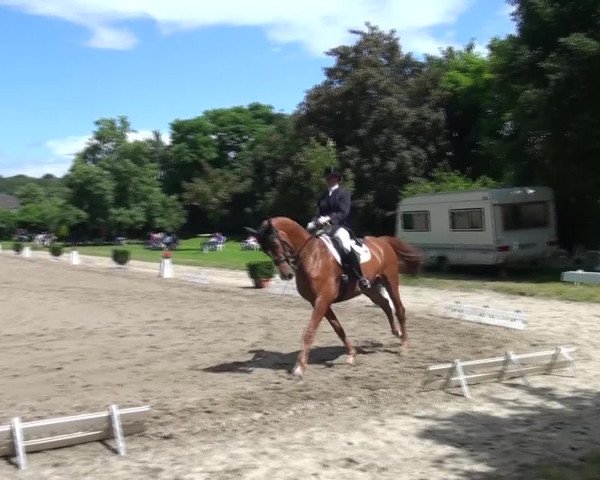 Reitturnier Viersen-Dülken 2016