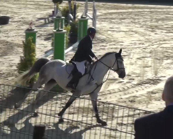 Reitturnier Lindlar-Süttenbach 2016
