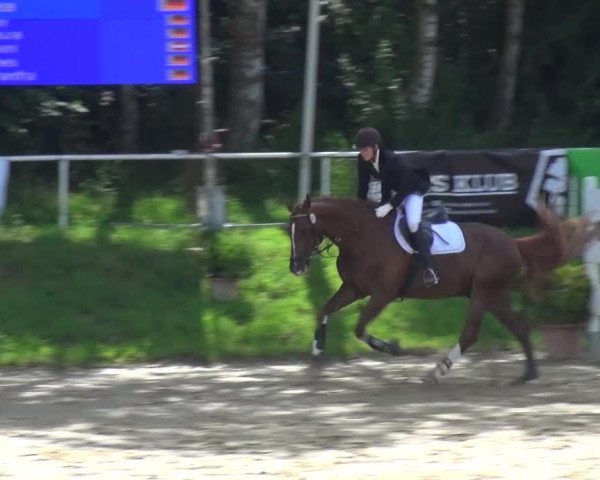Reitturnier Viersen-Dülken 2016