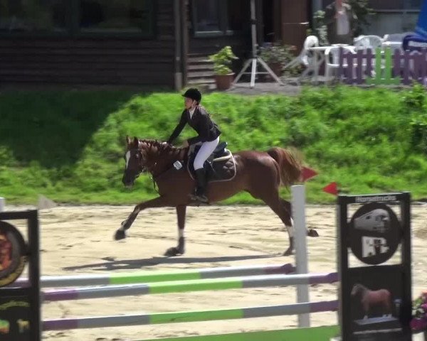 Reitturnier Viersen-Dülken 2016