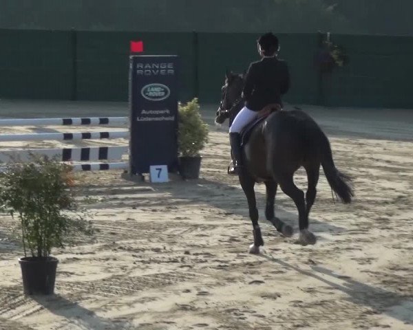 Reitturnier Lindlar-Süttenbach 2016