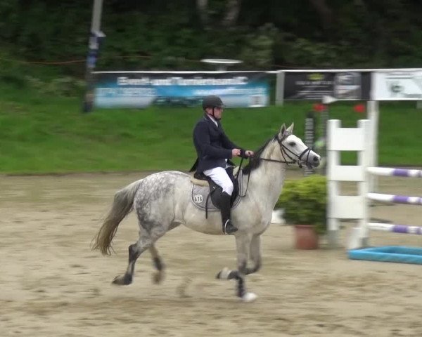 Reitturnier Viersen-Dülken 2016