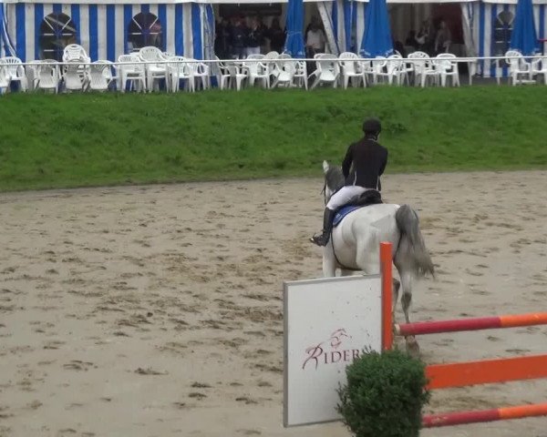 Reitturnier Viersen-Dülken 2016
