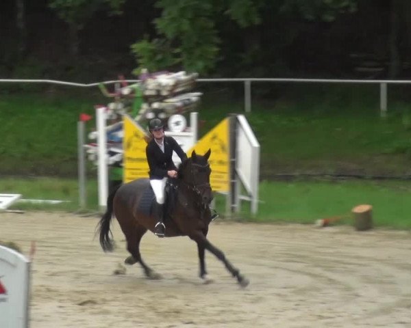 Reitturnier Viersen-Dülken 2016