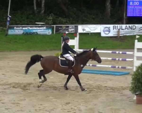 Reitturnier Viersen-Dülken 2016