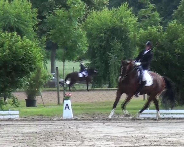 Reitturnier Viersen-Dülken 2016