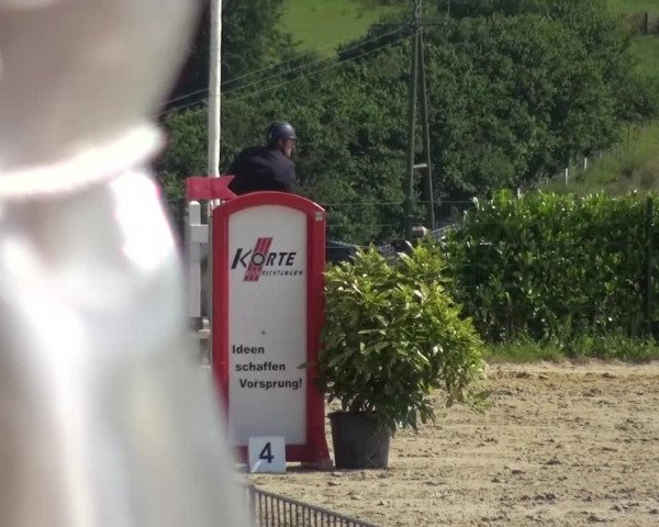 Reitturnier Lindlar-Süttenbach 2016