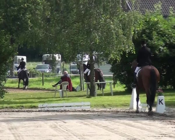 Reitturnier Viersen-Dülken 2016