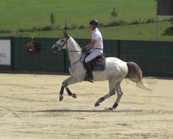 Reitturnier Lindlar-Süttenbach 2016