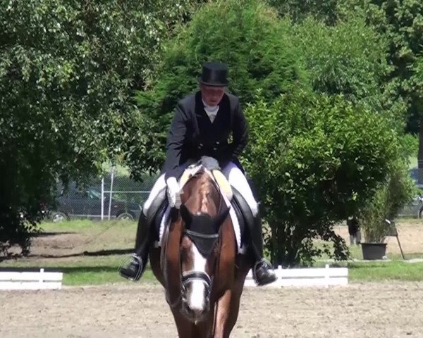 Reitturnier Viersen-Dülken 2016