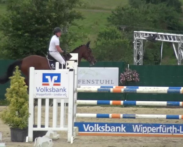 Reitturnier Lindlar-Süttenbach 2016