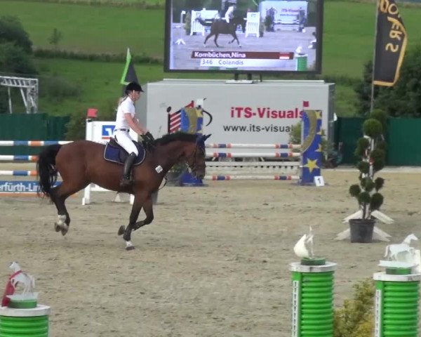 Reitturnier Lindlar-Süttenbach 2016