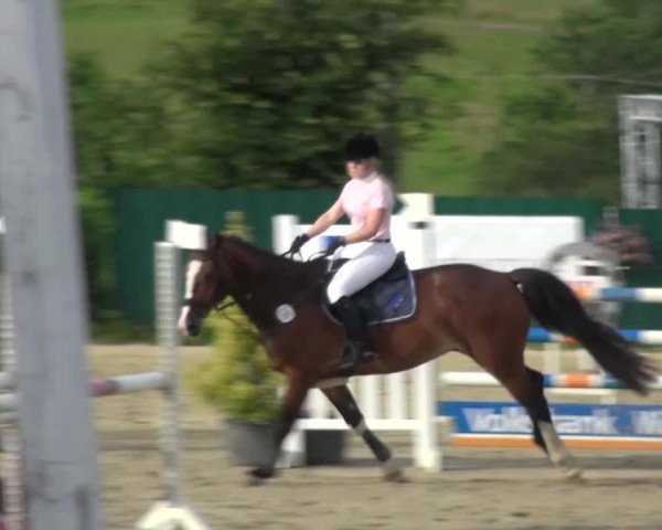 Reitturnier Lindlar-Süttenbach 2016