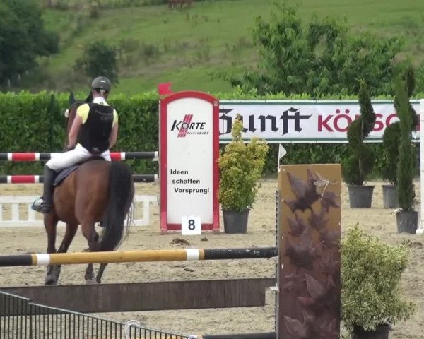 Reitturnier Lindlar-Süttenbach 2016