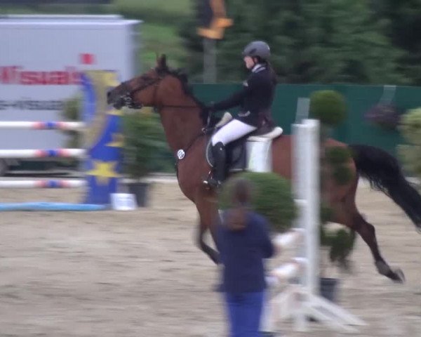 Reitturnier Lindlar-Süttenbach 2016
