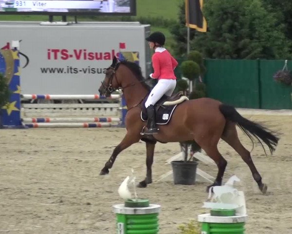 Reitturnier Lindlar-Süttenbach 2016