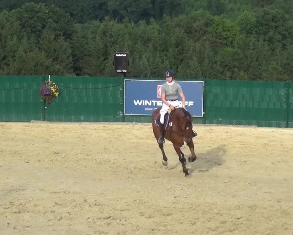 Reitturnier Lindlar-Süttenbach 2016