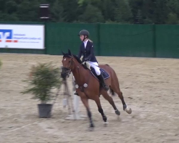 Reitturnier Lindlar-Süttenbach 2016