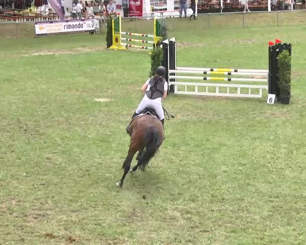 Reitturnier Herrenberg-Gültstein 2016