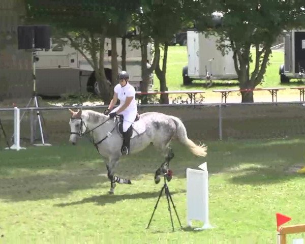 Reitturnier Herrenberg-Gültstein 2016