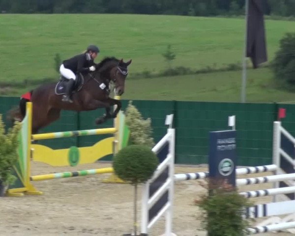 Reitturnier Lindlar-Süttenbach 2016