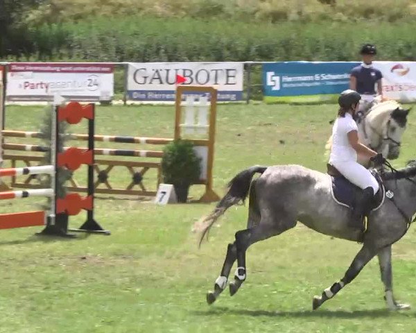 Reitturnier Herrenberg-Gültstein 2016