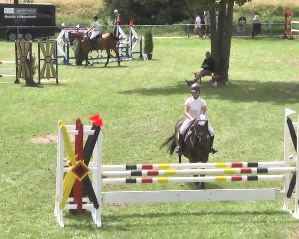 Reitturnier Herrenberg-Gültstein 2016