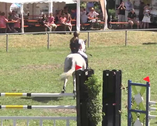 Reitturnier Herrenberg-Gültstein 2016