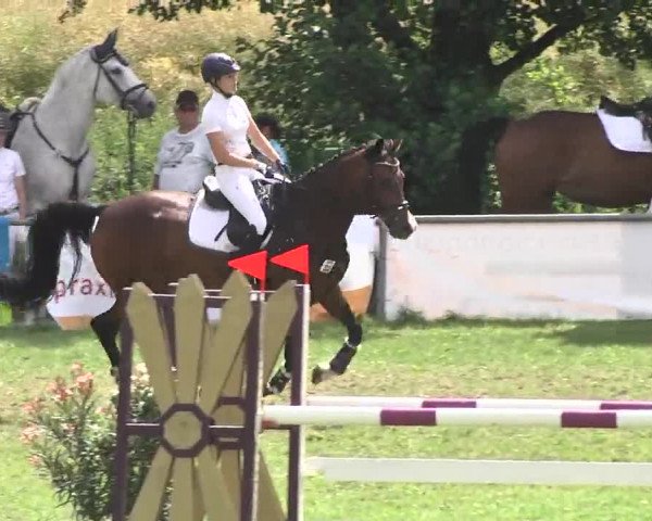 Reitturnier Herrenberg-Gültstein 2016