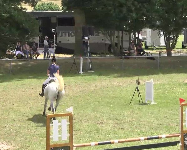 Reitturnier Herrenberg-Gültstein 2016