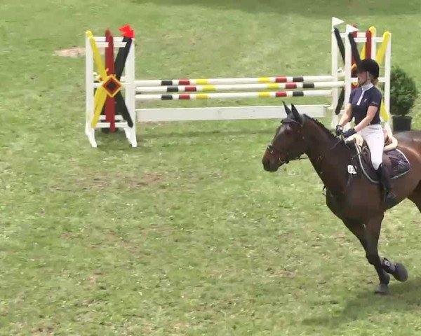 Reitturnier Herrenberg-Gültstein 2016