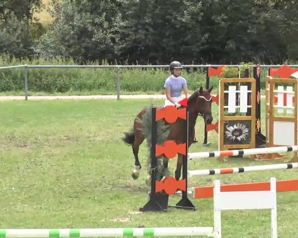 Reitturnier Herrenberg-Gültstein 2016