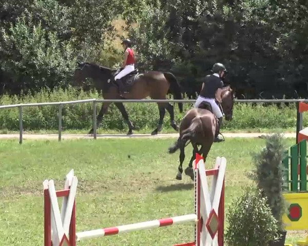 Reitturnier Herrenberg-Gültstein 2016